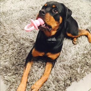 Meet your Posher, Cindee